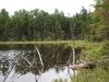 Little Crooked Lake
